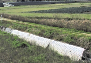 河川砂防部門、災害対応実績：青柳川 (福岡県古賀市)